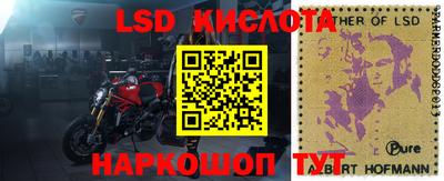 гидропоника Владивосток
