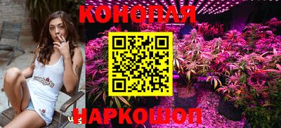 мдпв Владимир