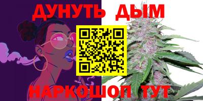 мдпв Владимир