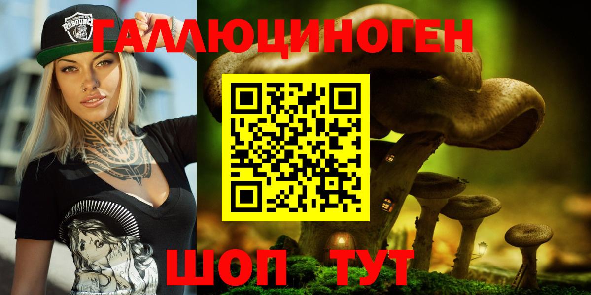 Воскресенск  Псилоцибиновые грибы Psilocybine cubensis  Вход с VPN 