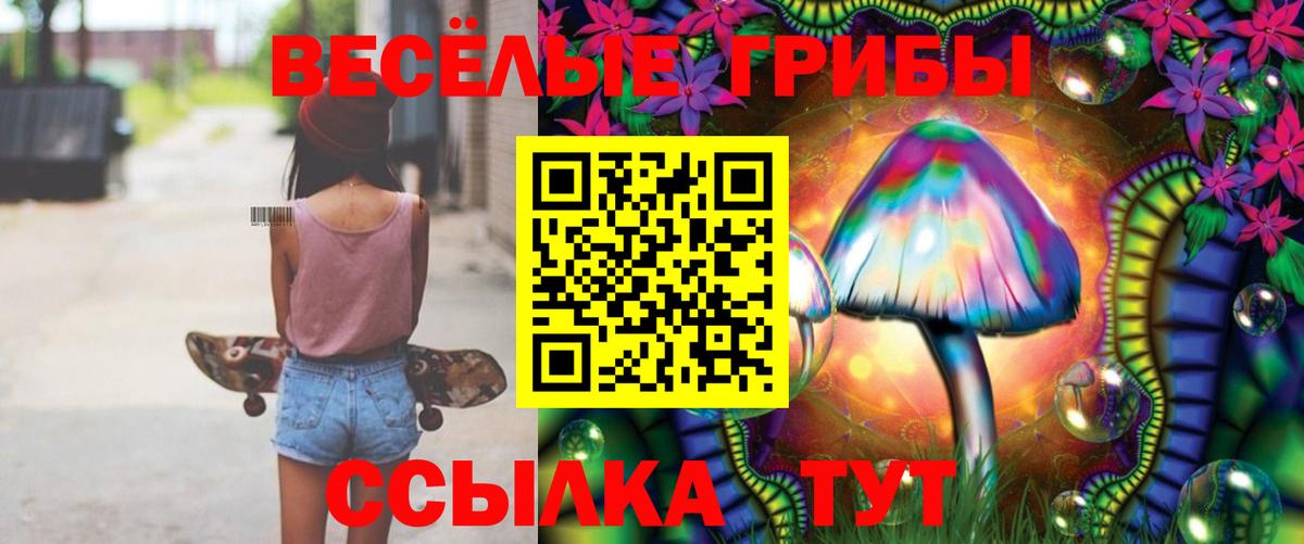 Галлюциногенные грибы Psilocybe Воскресенск